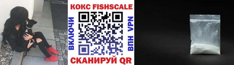 Купить где  Свирск  COCAIN FishScale 