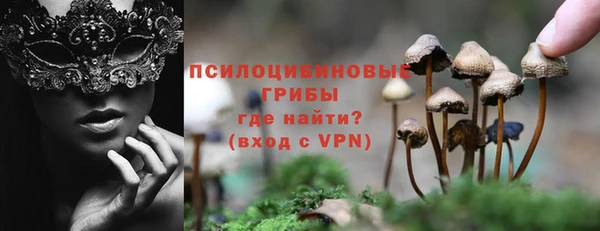 PSILOCYBIN Нея