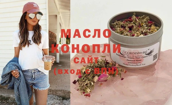 сатива Новозыбков