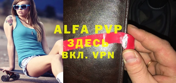 сатива Новозыбков
