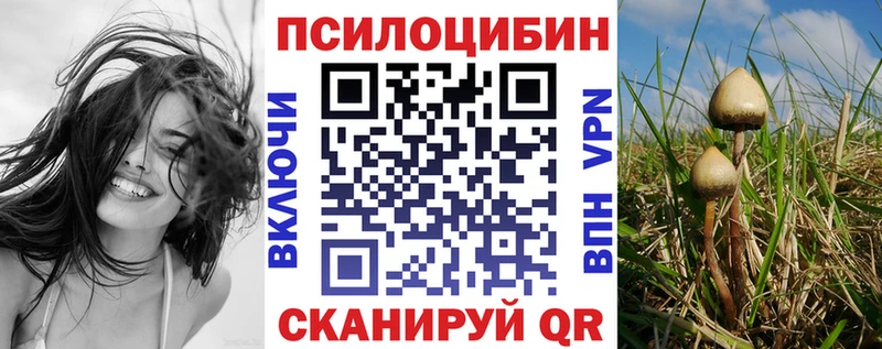 Галлюциногенные грибы GOLDEN TEACHER  Купить закладки  Свирск 